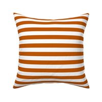 Spiced Pumpkin  and White ~ Stripe 