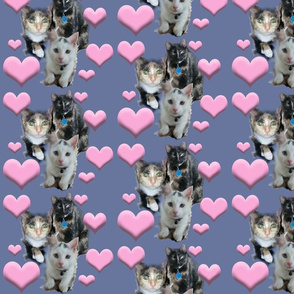 kitty_cat_fabric_design2