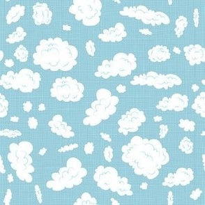 Sheep Coordinate (Cloud)