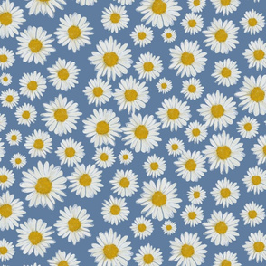 daisies on blue