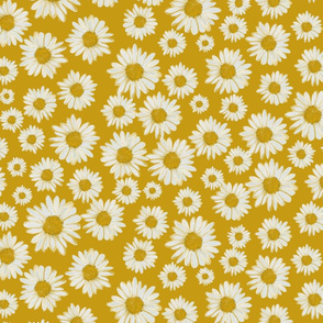 daisies on yellow