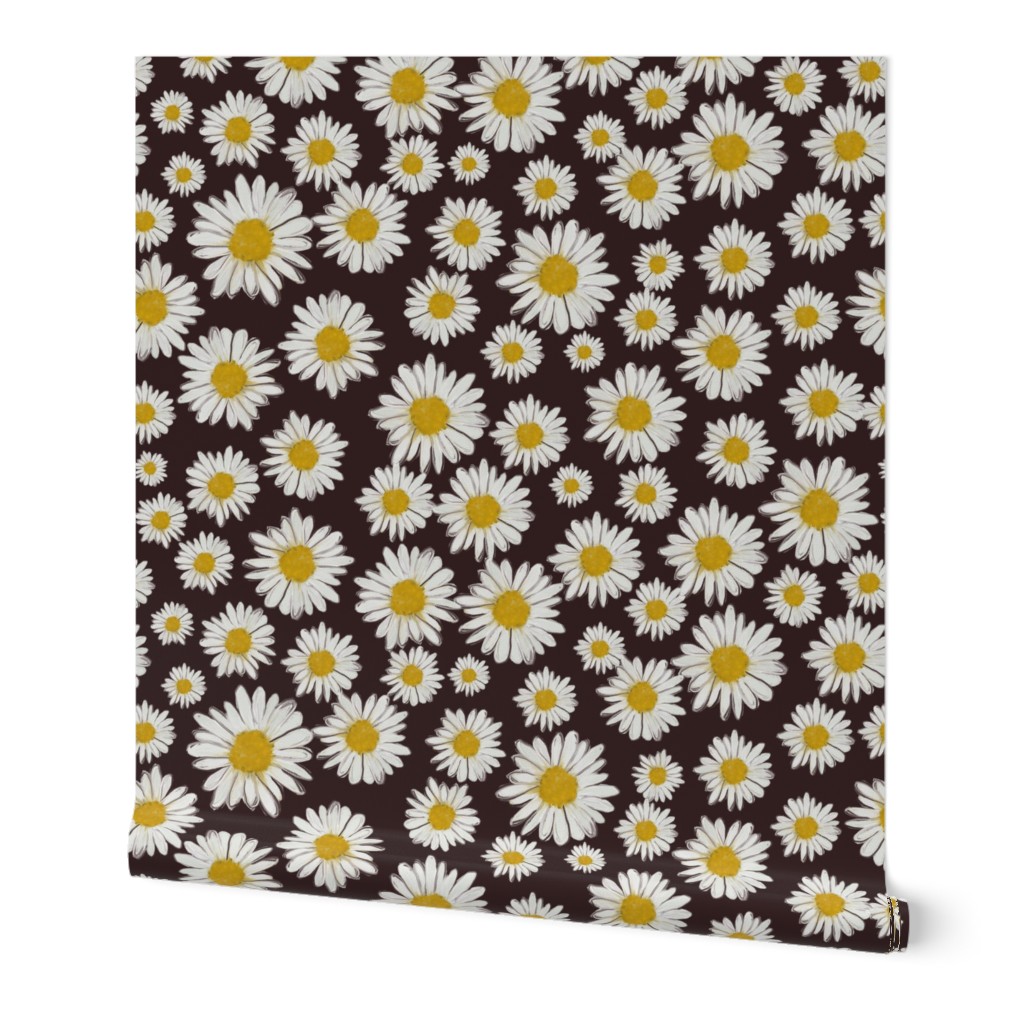 daisies on brown