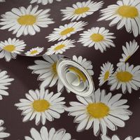 daisies on brown
