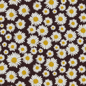 daisies on brown