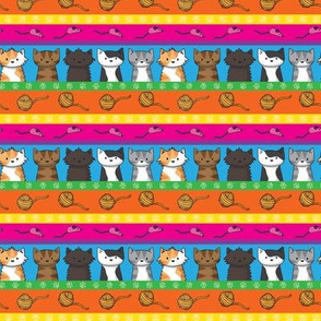 Colourful Cats