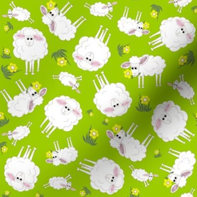 Ditsy sheep