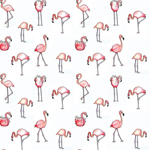 flamingo