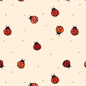 ladybug