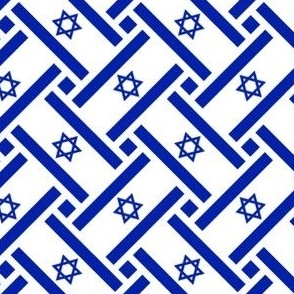 Israel Flag Weave