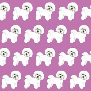 Bichon Frise Puppy dog love Purple
