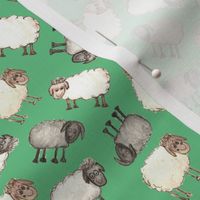 Ditsy Watercolour Sheep on Green