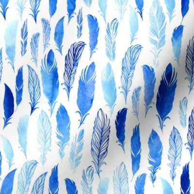 Blue watercolor feathers on white background