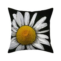 Daisy   big - black and white and yellow