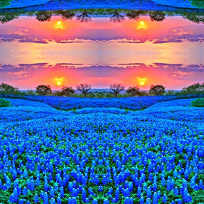 Grape_hyacinth_field-ed mirrored