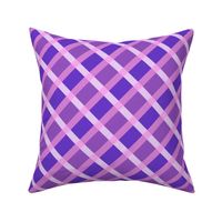 Spicy Purple Gingham