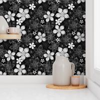 Tropic Floral Black and White