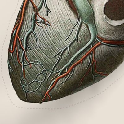 Anatomical Heart Pillow Fat Quarter