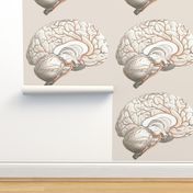 Brain Pillow Side 2