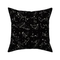 Zodiac Constellations in Black Hole