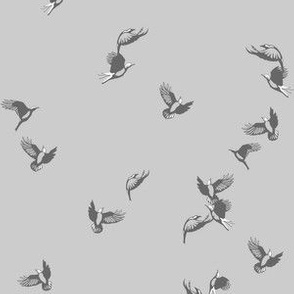flock of birds grey