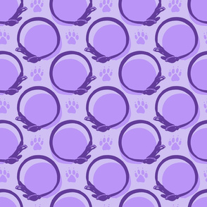 Collared portrait coordinate - purple