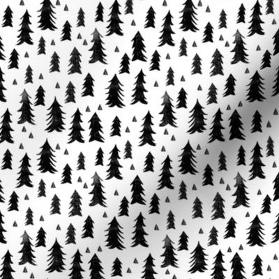 trees // forest trees black and white