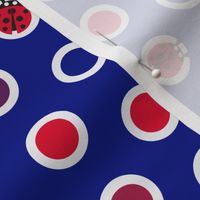 ladybird spot - navy