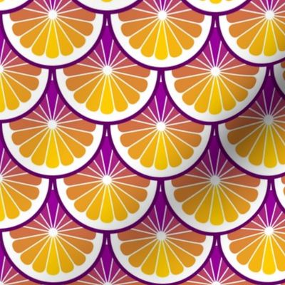 03978885 : citrus scales : tropical