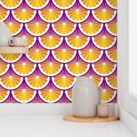 03978885 : citrus scales : tropical