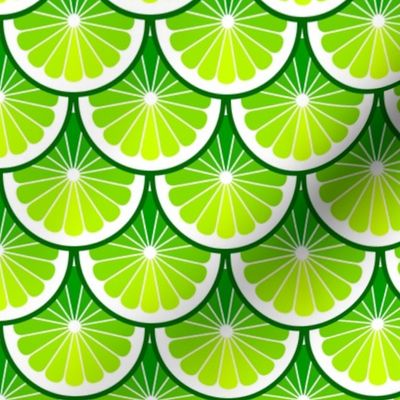 03978903 : citrus scales : limey