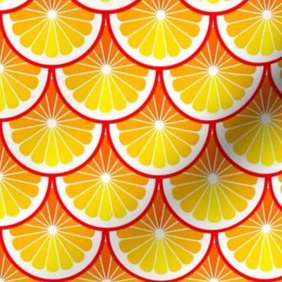 03978904 : citrus scales : inferno