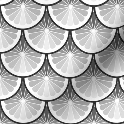 03978923 : citrus : greyscale