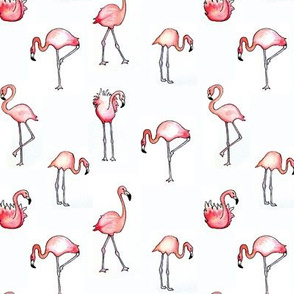 flamingo_small