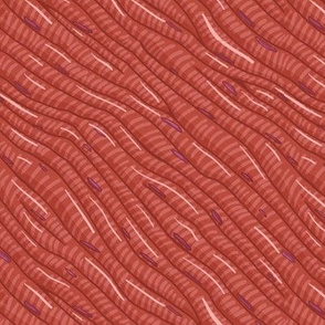 Muscle Histology