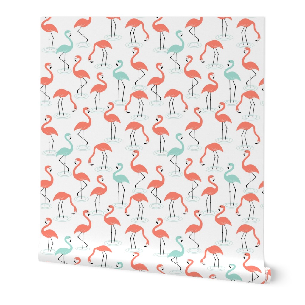 Flamingos