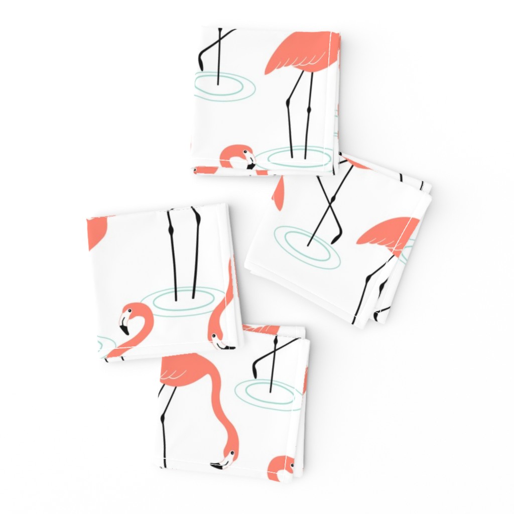 Flamingos