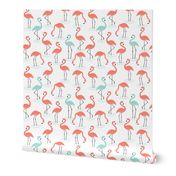 Flamingos