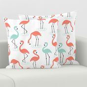 Flamingos