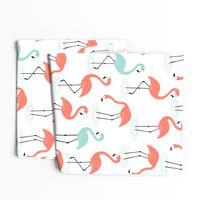 Flamingos