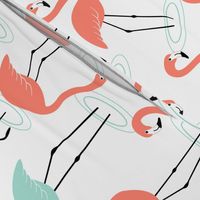 Flamingos