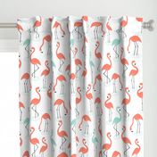 Flamingos