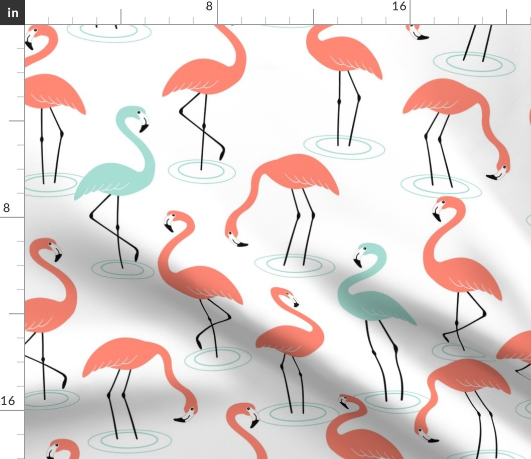 Flamingos