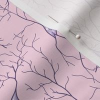 neurons in lilac