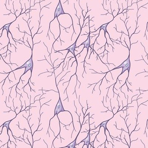 neurons in lilac