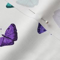 Butterfly Scatter