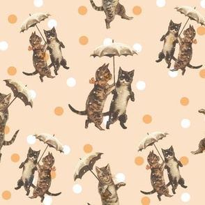 raining cats