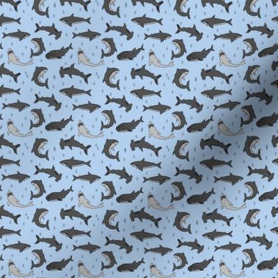 sharks // shark fabric hand-drawn shark pattern for boys kids room sharks boys fashion andrea lauren