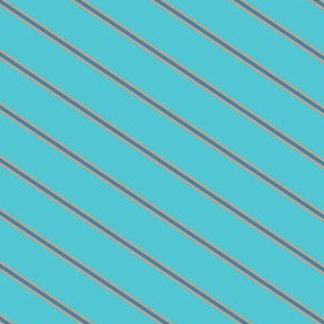 Turquoise Tangerine Wide Stripe 2