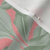 Palm In Palm ~ Sage on Coral Linen Luxe