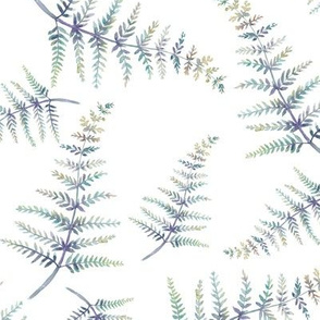 watercolor fern natural on white